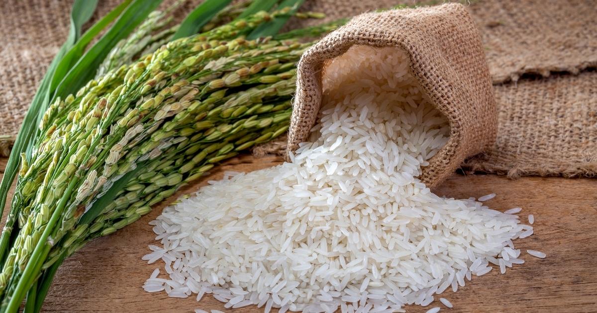 Melhores Receitas Com Arroz para o Almoço e Janta