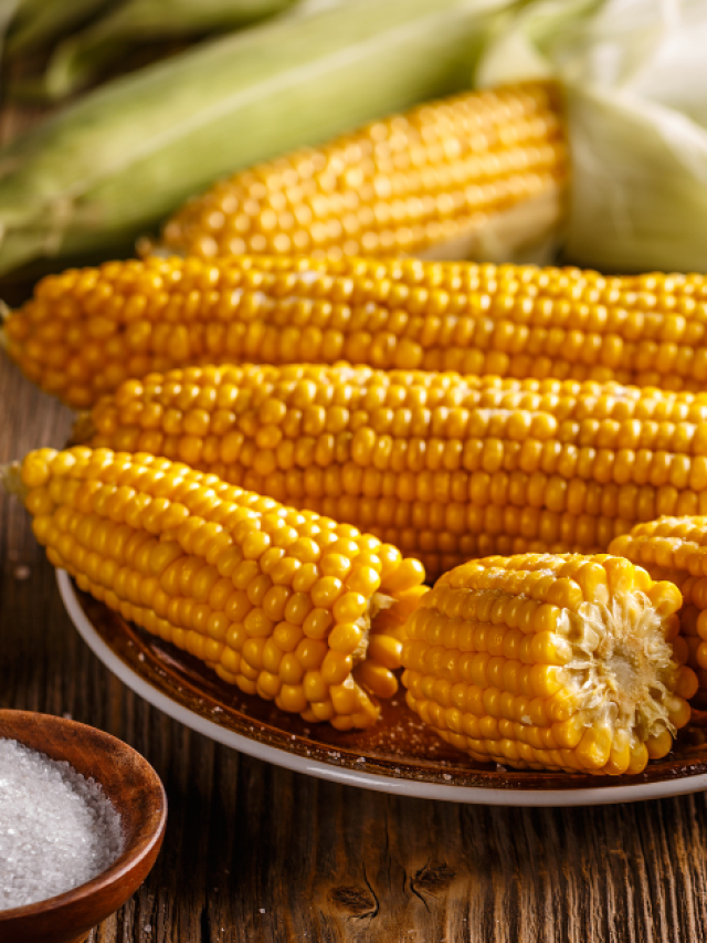 Milho Cozido
