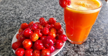 O Segredo do Suco de Acerola, como Aproveitar todos os Benefícios dessa Fruta Incrível