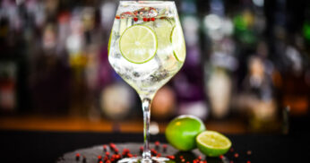 Drink com Gin, Uma Receita Refrescante para Desfrutar com Amigos