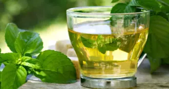 Receita de Chá de Menta