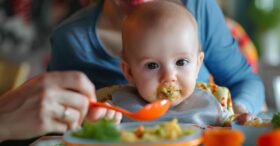 Introdução Alimentar aos 6 Meses: Um Guia para Pais e Cuidadores