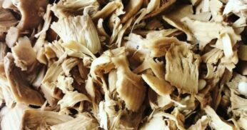 Como Preparar Carne de Jaca