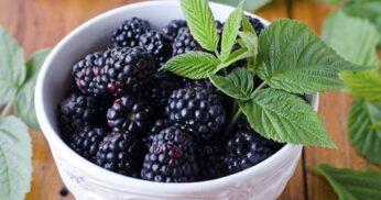 Receita de Brigadeiro de Amora, Maçã e Castanha de Caju