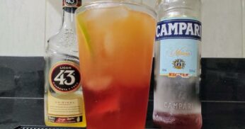 Como Fazer Coquetel de Campari 43