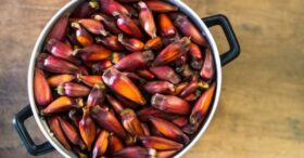 Pinhão Alho e Missô Totalmente Vegano