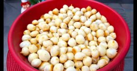 Pipoquinha de Polvilho Crocante Sem Ovo